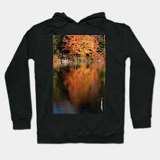 Maple Reflections Hoodie